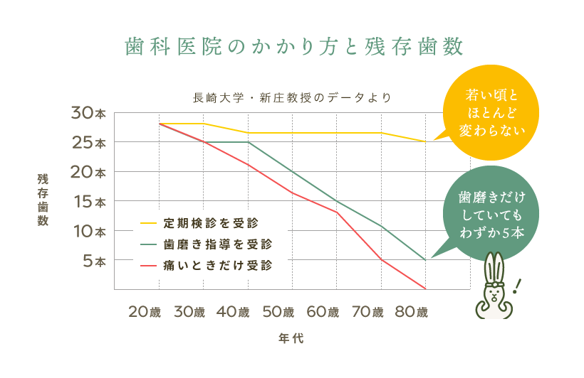 歯科医院のかかり方と残存歯数